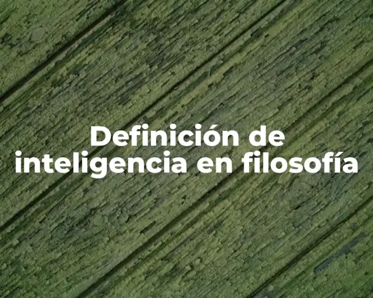 Definición de inteligencia en filosofía