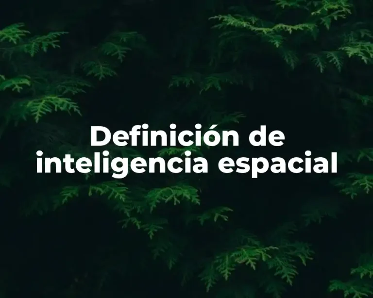 Definición de inteligencia espacial