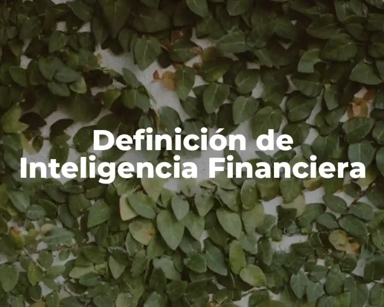 Definición de Inteligencia Financiera