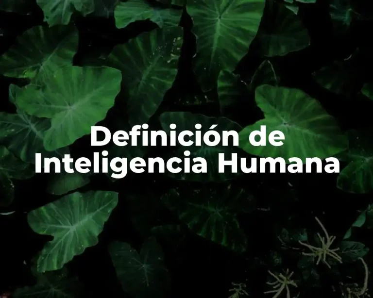 Definición de Inteligencia Humana