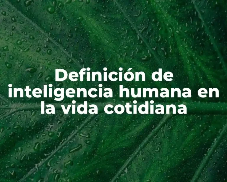 Definición de inteligencia humana en la vida cotidiana