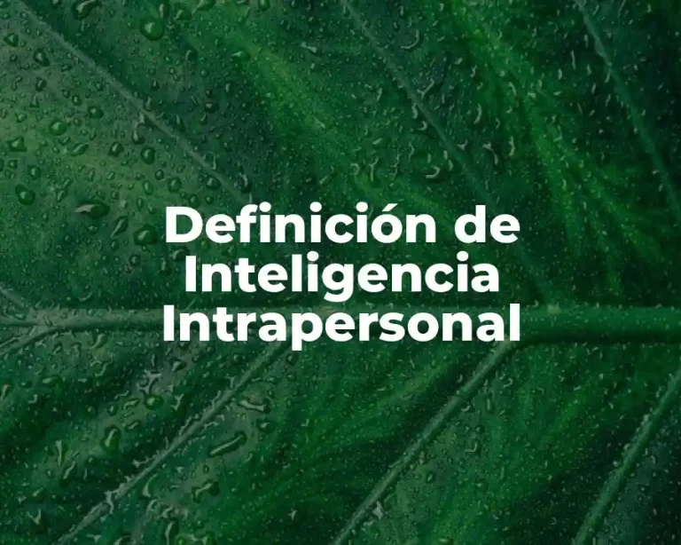 Definición de Inteligencia Intrapersonal