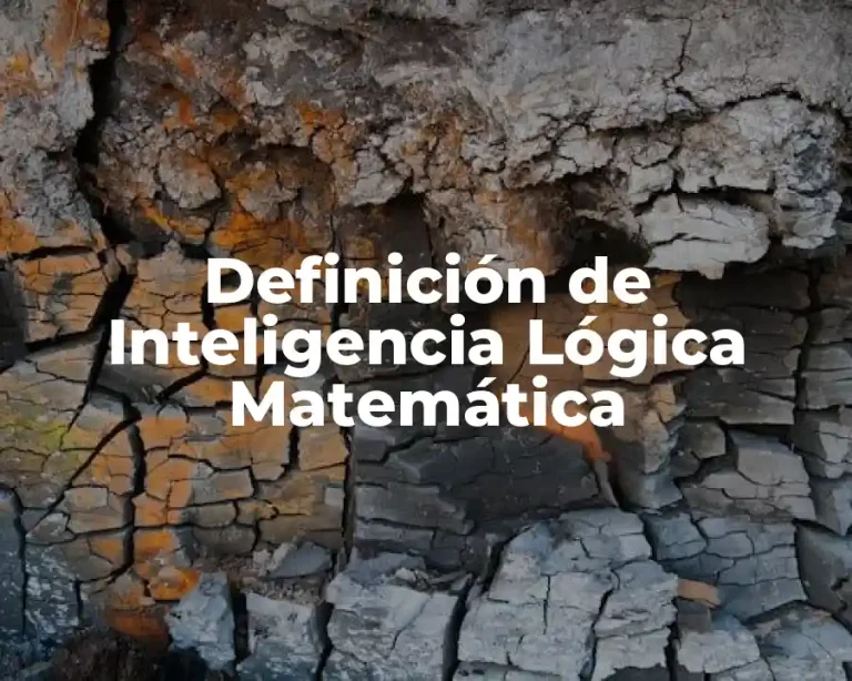 Definición de Inteligencia Lógica Matemática