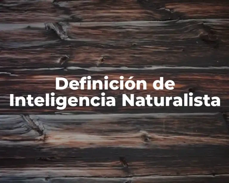 Definición de Inteligencia Naturalista