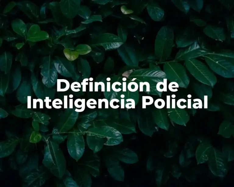Definición de Inteligencia Policial