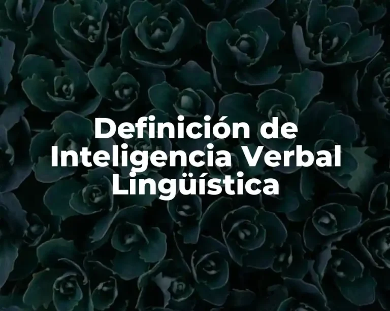 Definición de Inteligencia Verbal Lingüística