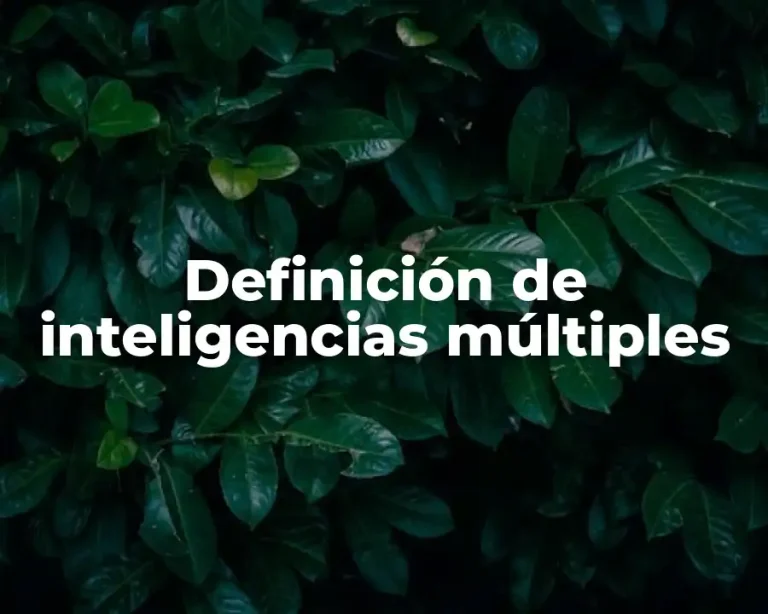Definición de inteligencias múltiples