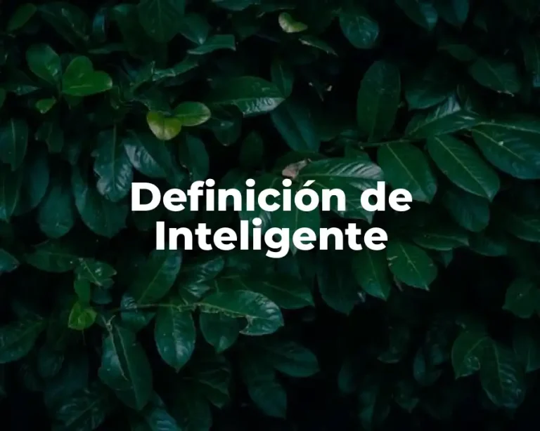 Definición de Inteligente