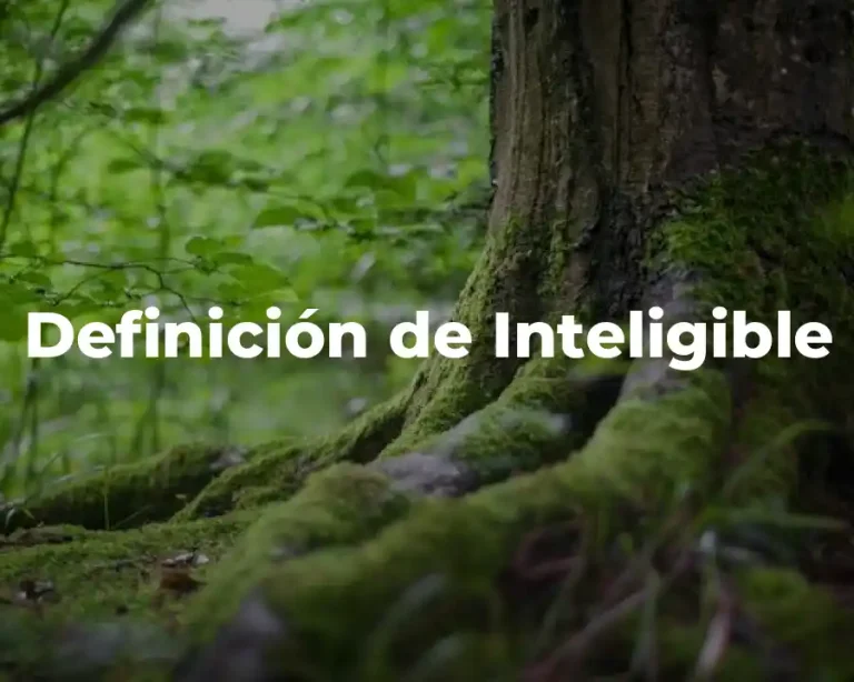 Definición de Inteligible