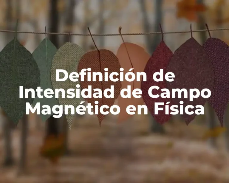 Definición de Intensidad de Campo Magnético en Física