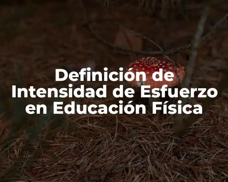 Definición de Intensidad de Esfuerzo en Educación Física