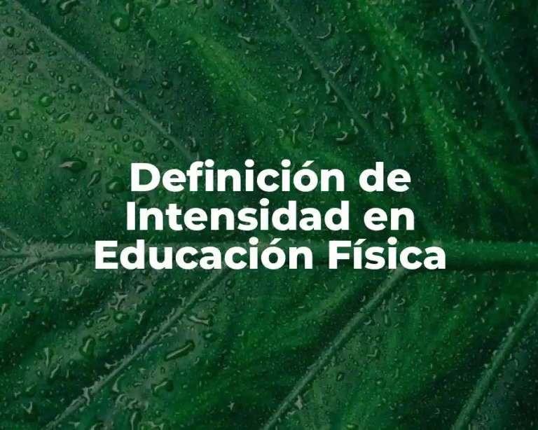 Definición de Intensidad en Educación Física