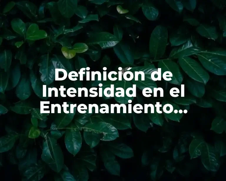 Definición de Intensidad en el Entrenamiento Deportivo