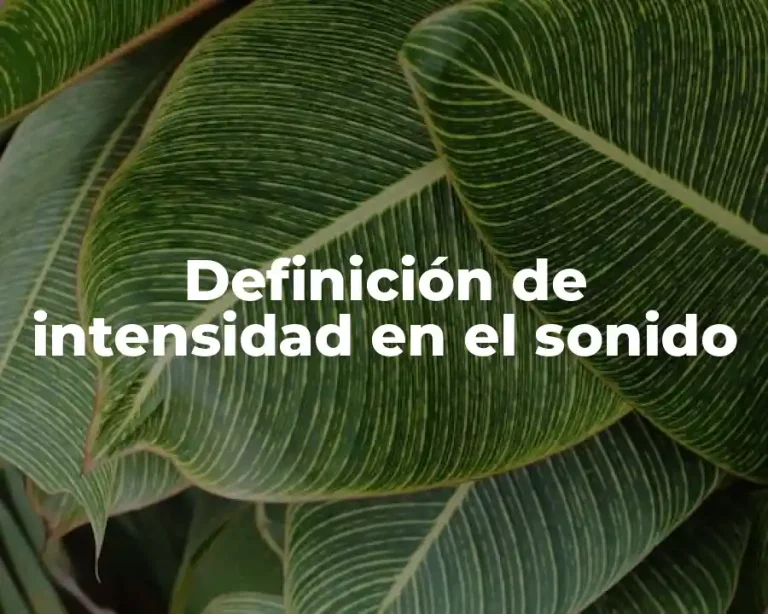 Definición de intensidad en el sonido