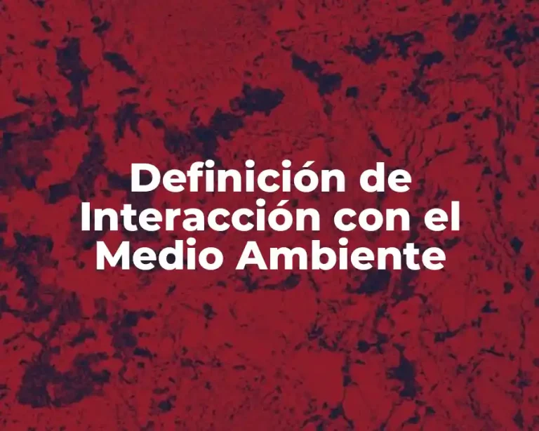 Definición de Interacción con el Medio Ambiente