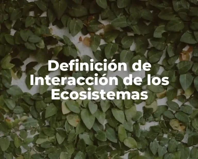 Definición de Interacción de los Ecosistemas