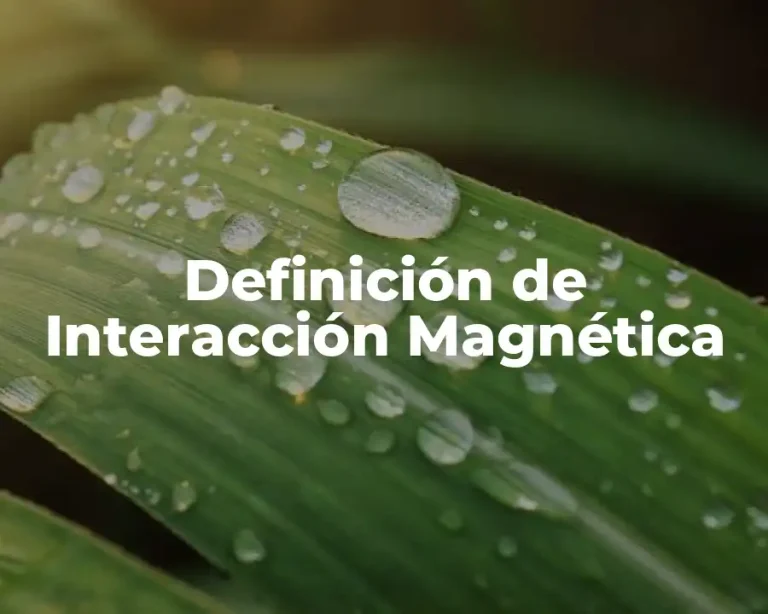 Definición de Interacción Magnética