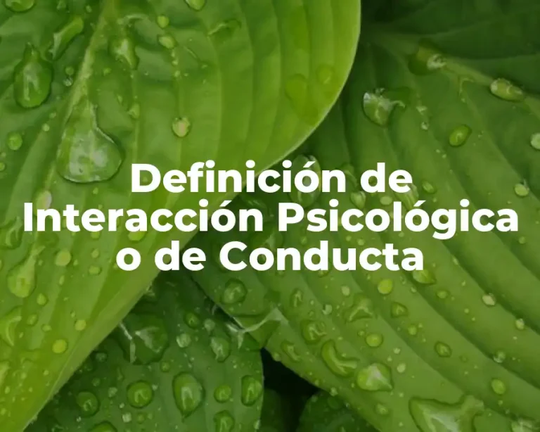 Definición de Interacción Psicológica o de Conducta