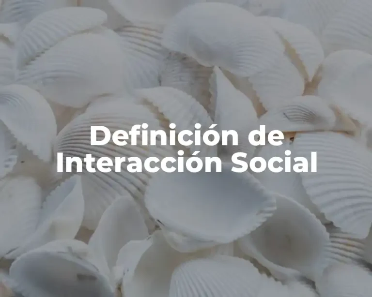Definición de Interacción Social