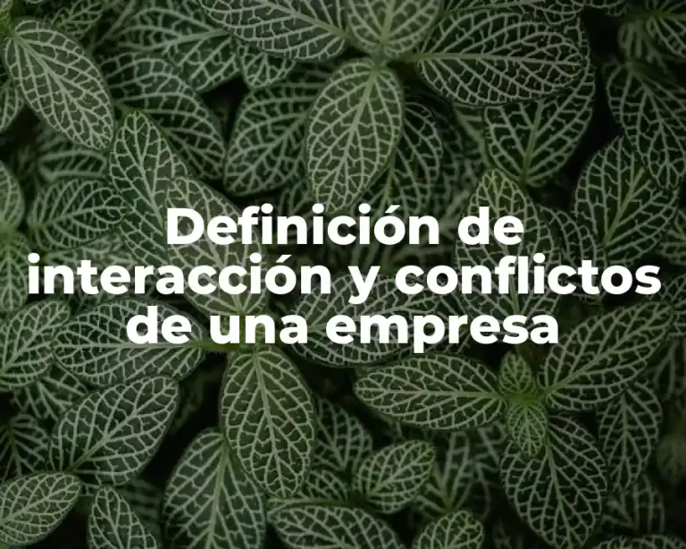 Definición de interacción y conflictos de una empresa