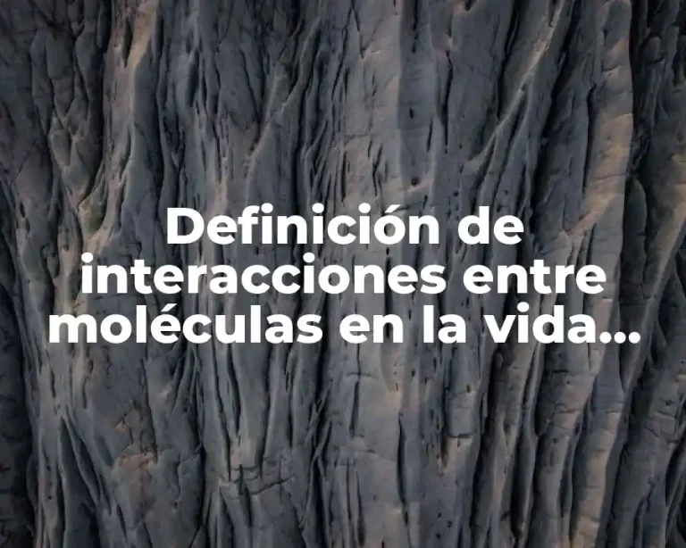 Definición de interacciones entre moléculas en la vida cotidiana