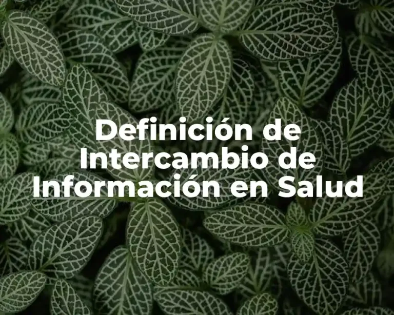 Definición de Intercambio de Información en Salud
