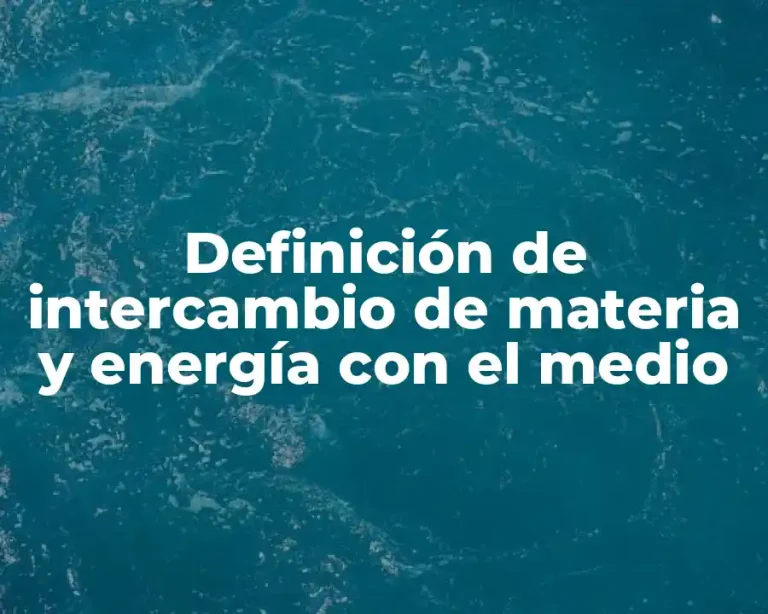 Definición de intercambio de materia y energía con el medio
