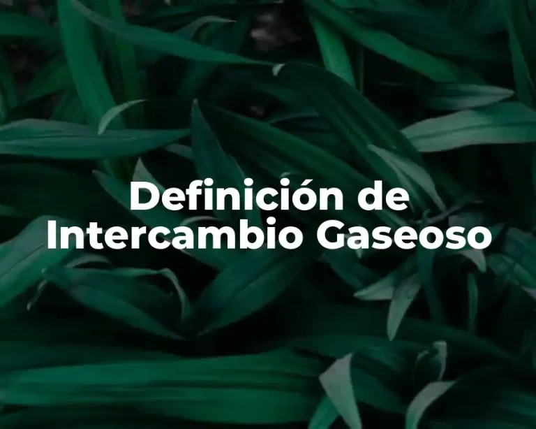 Definición de Intercambio Gaseoso