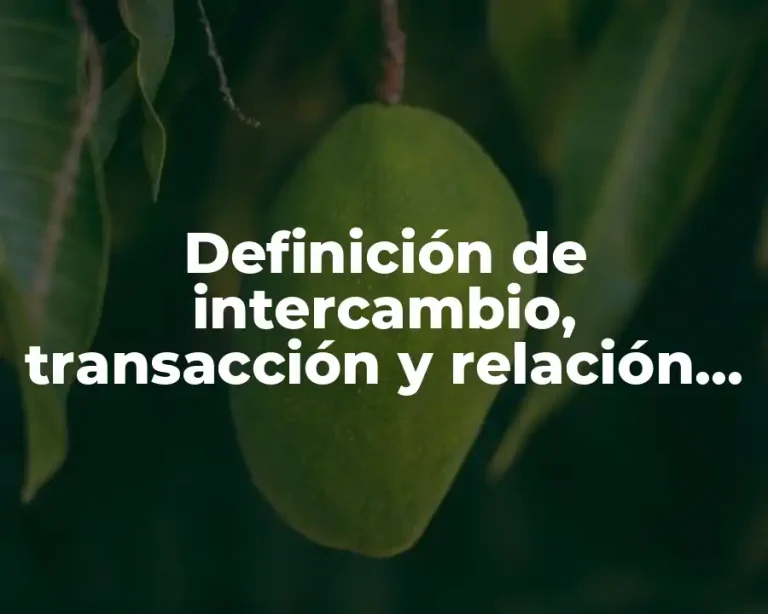 Definición de intercambio, transacción y relación en marketing