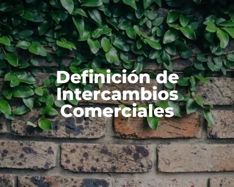 Definición de Intercambios Comerciales