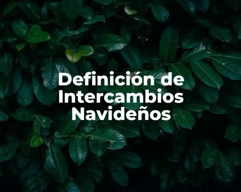 Definición de Intercambios Navideños