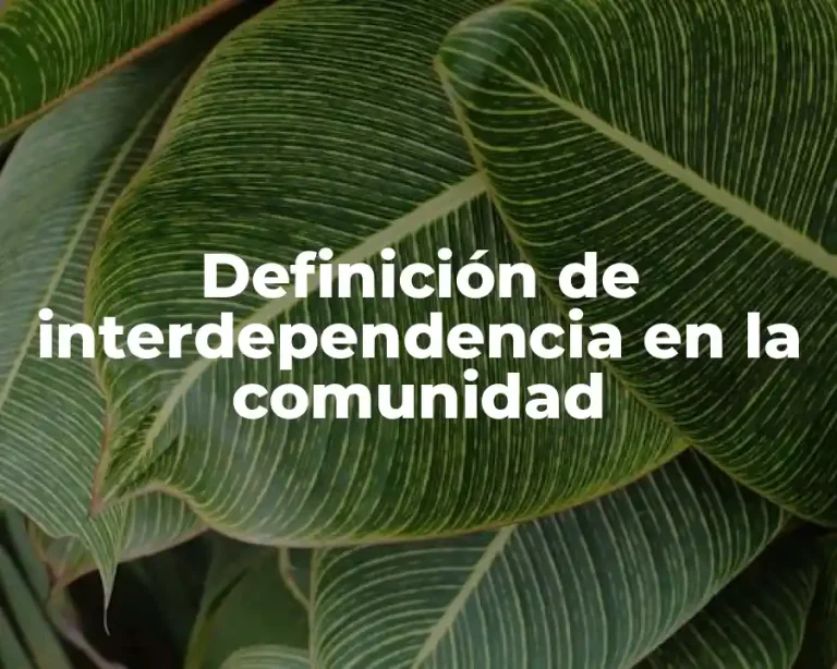 Definición de interdependencia en la comunidad