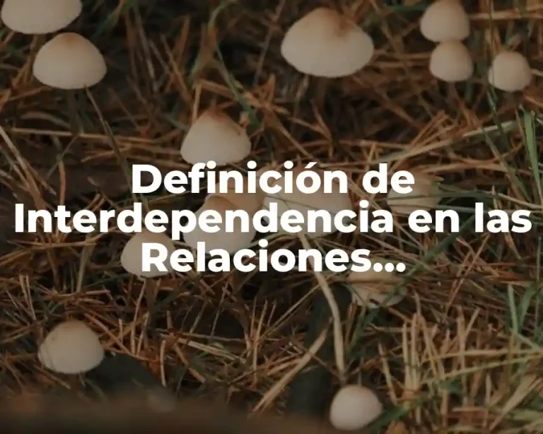 Definición de Interdependencia en las Relaciones Internacionales