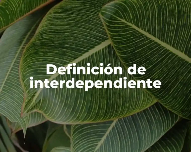 Definición de interdependiente