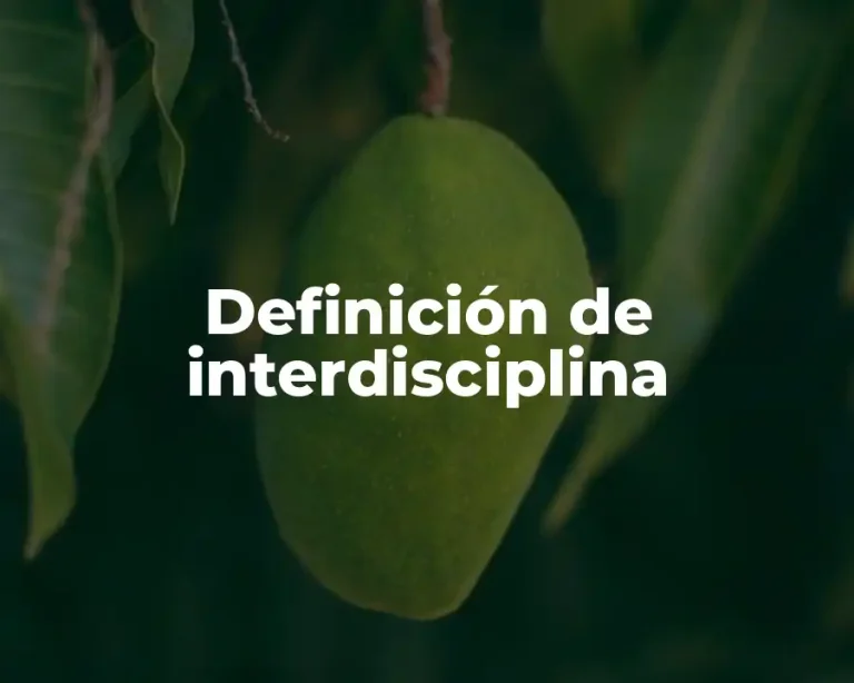 Definición de interdisciplina