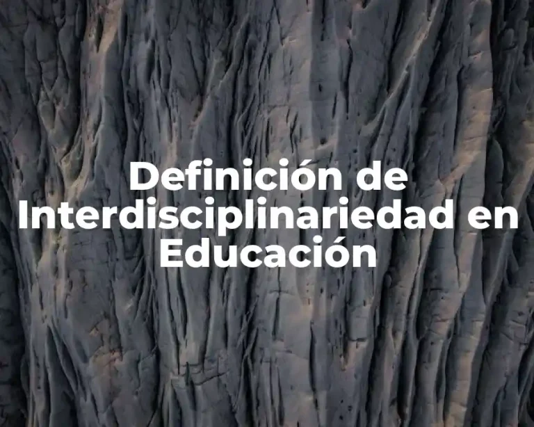 Definición de Interdisciplinariedad en Educación