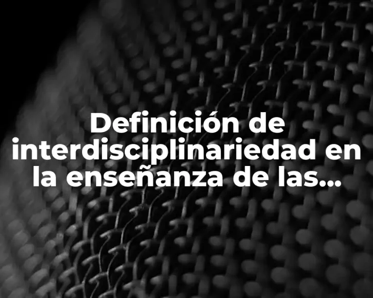 Definición de interdisciplinariedad en la enseñanza de las matemáticas