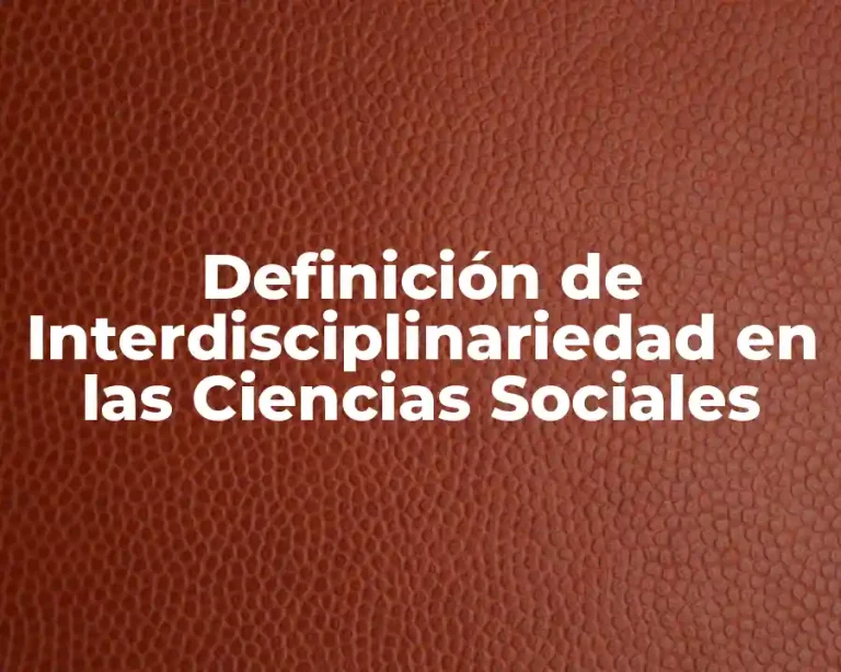 Definición de Interdisciplinariedad en las Ciencias Sociales
