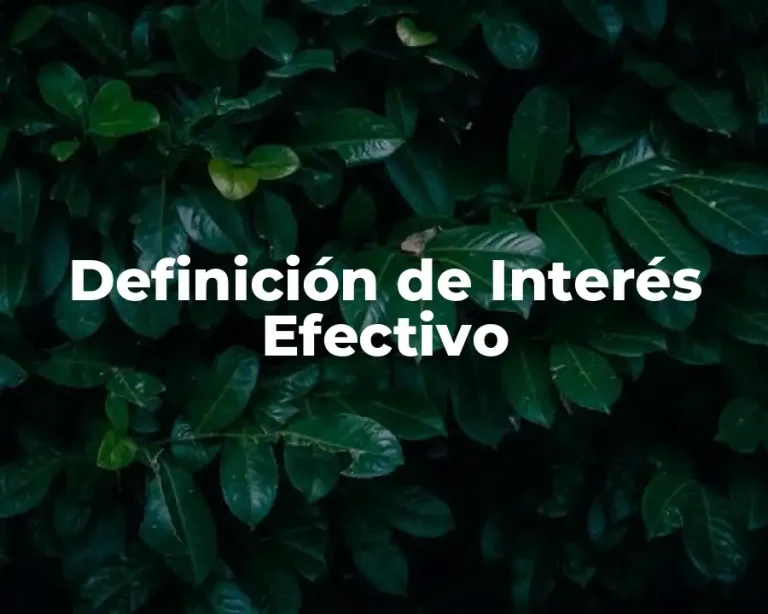 Definición de Interés Efectivo