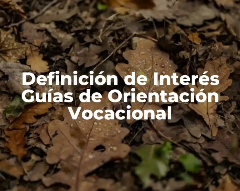 Definición de Interés Guías de Orientación Vocacional
