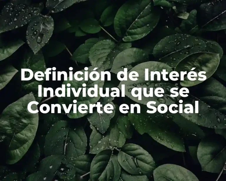 Definición de Interés Individual que se Convierte en Social