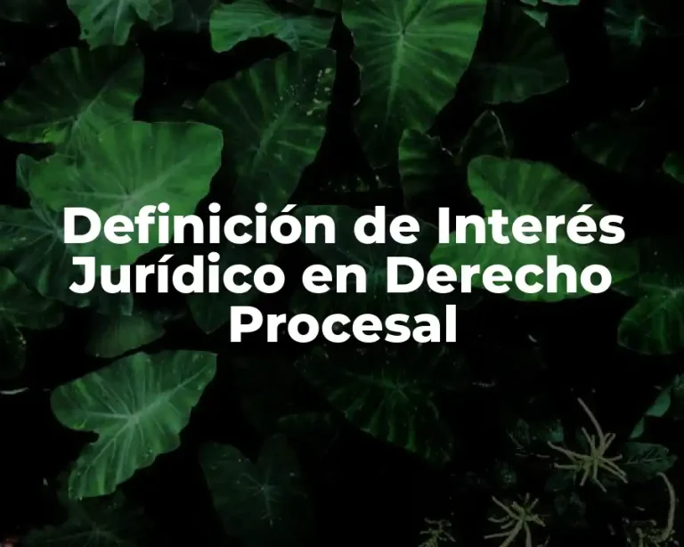 Definición de Interés Jurídico en Derecho Procesal