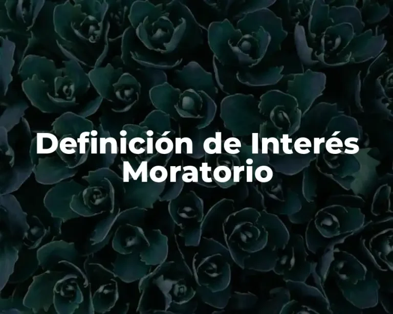 Definición de Interés Moratorio