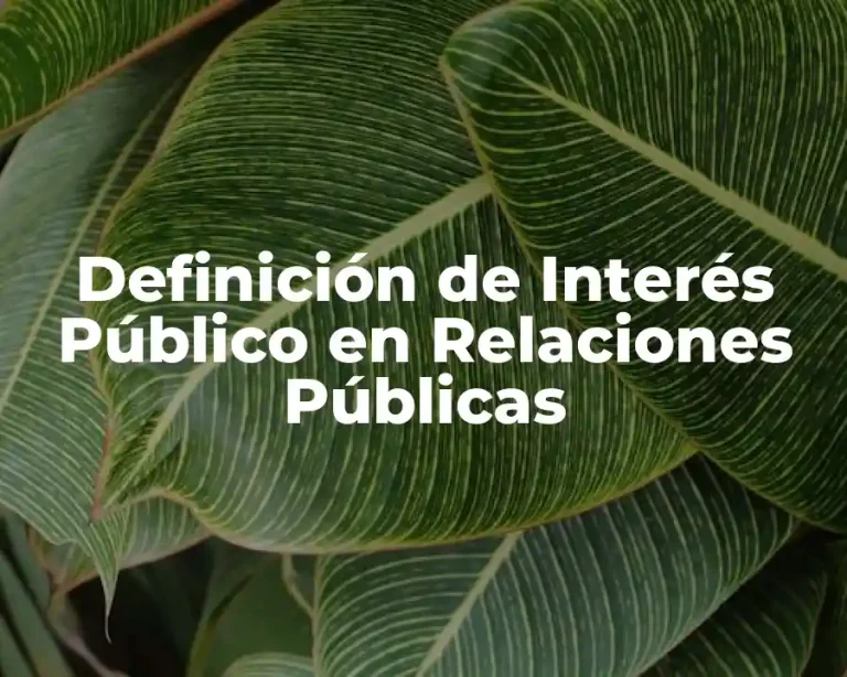 Definición de Interés Público en Relaciones Públicas