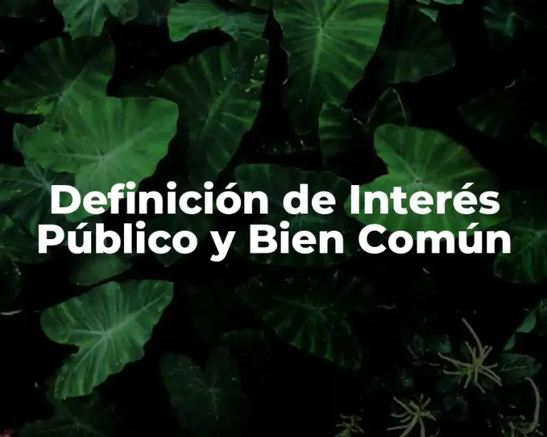 Definición de Interés Público y Bien Común