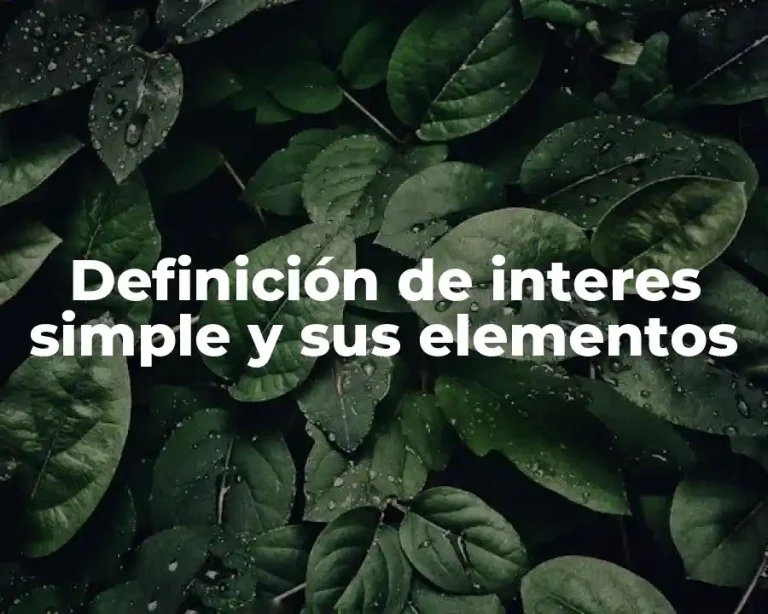 Definición de interes simple y sus elementos