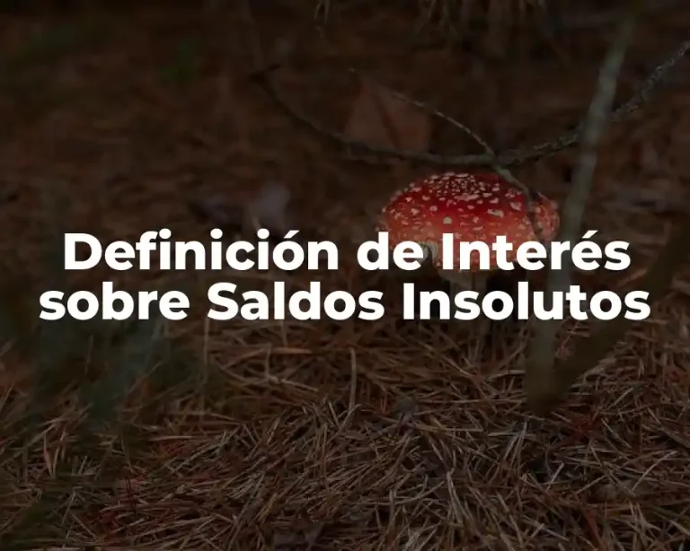 Definición de Interés sobre Saldos Insolutos
