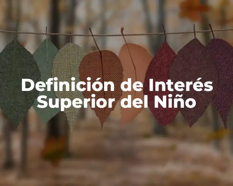 Definición de Interés Superior del Niño