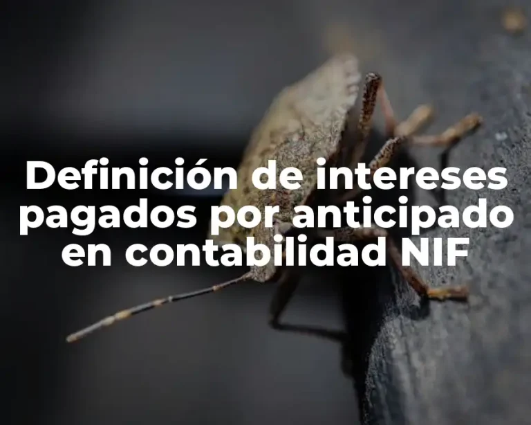Definición de intereses pagados por anticipado en contabilidad NIF