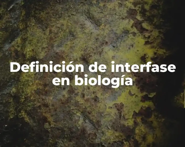 Definición de interfase en biología
